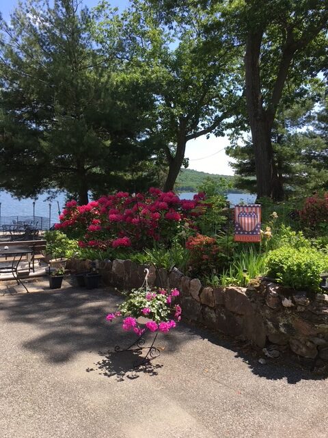 Vibrant pink flowers adorn a stone garden by a serene lake, framed by tall trees. A flag-themed sign highlights a peaceful outdoor setting.